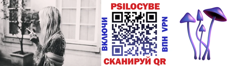 Купить где  Буй  Псилоцибиновые грибы мицелий 
